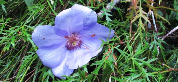 ???????????????????????????????