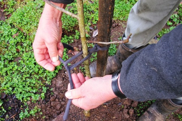 ???????????????????????????????