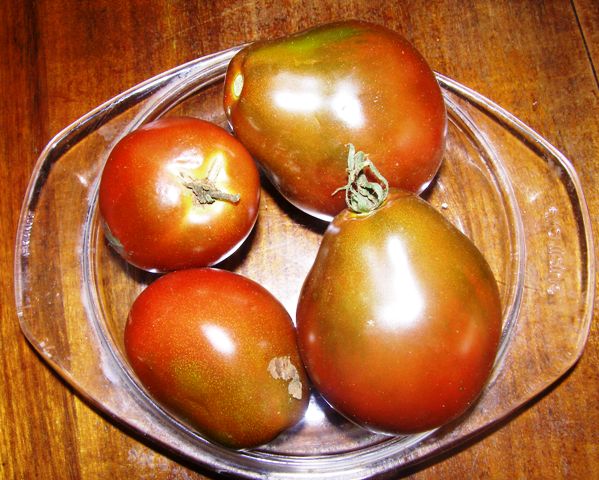 Japanese black trifele tomatoes