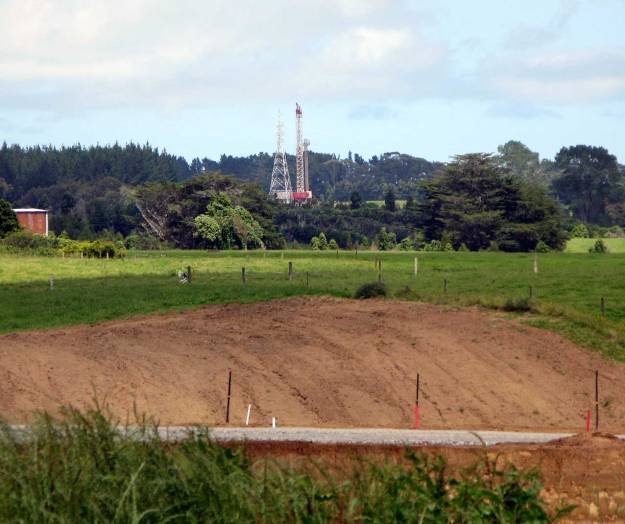 Kowhai-c-from-ME-site