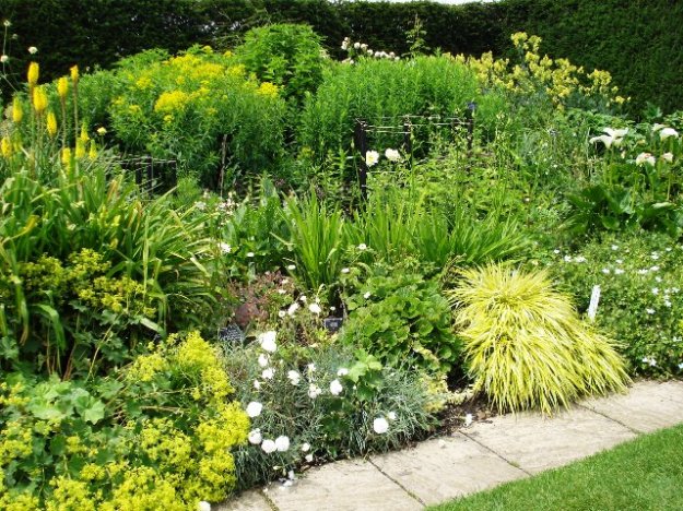 The yellow perennial bay at Hyde Hall, the RHS garden north of London