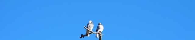 ???????????????????????????????