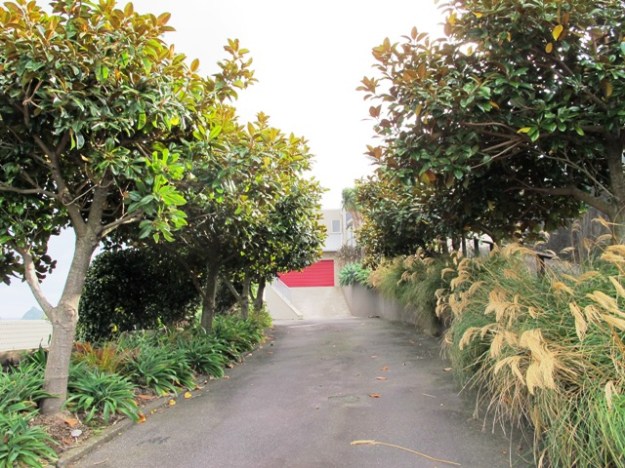 Vegetable time bombs, we call them