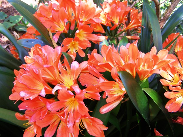 ???????????????????????????????