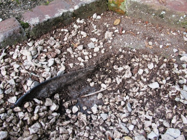 ?????????????????????: ??????????