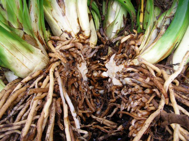 ???????????????????????????????