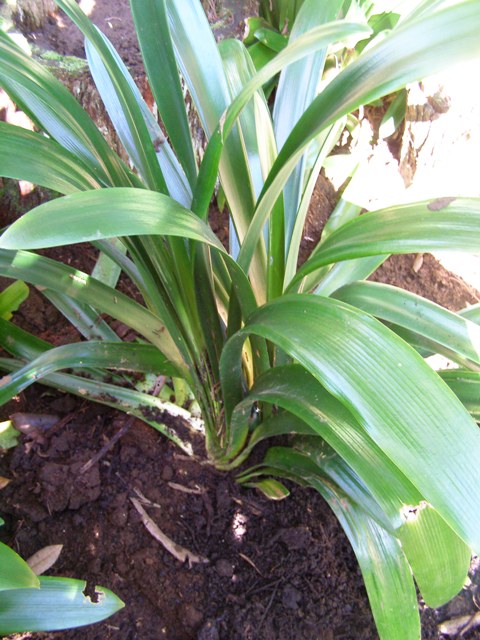 ???????????????????????????????