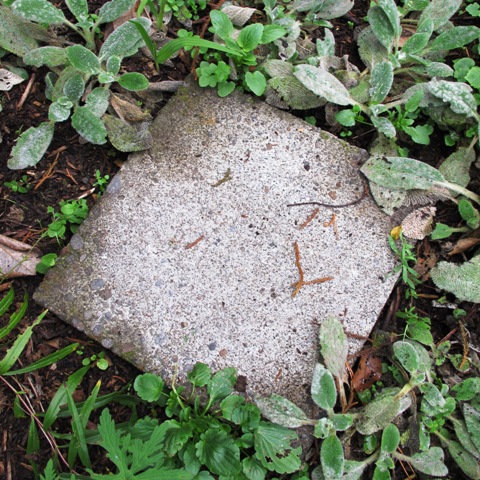 Scatter pavers in the middle of wide borders to give somewhere to stand when tending to the sections that can't be reached from the side (this one in my garden) 
