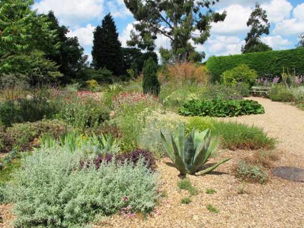 Beth Chatto’s dry garden in Essex