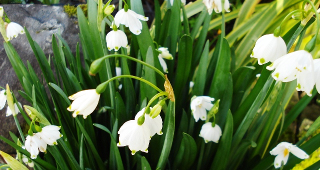 ???????????????????????????????