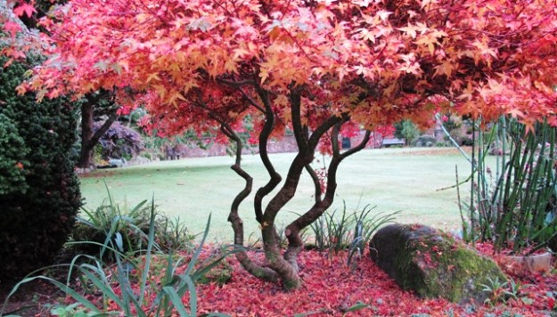 ???????????????????????????????