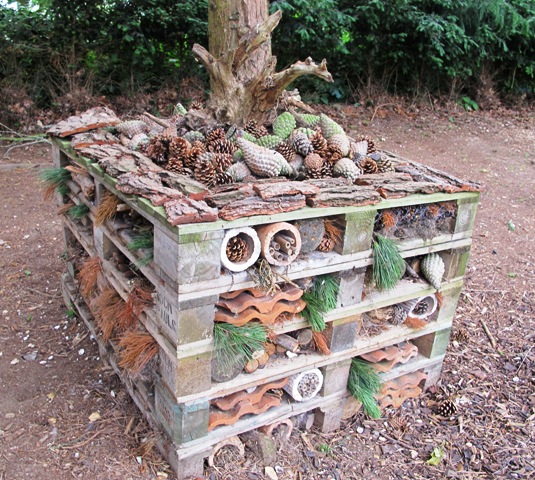 Bug hotels or insect hotels