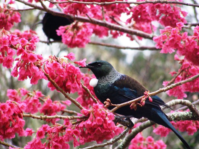 ???????????????????????????????