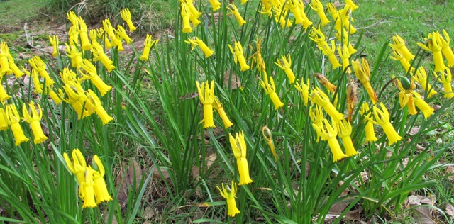 ???????????????????????????????