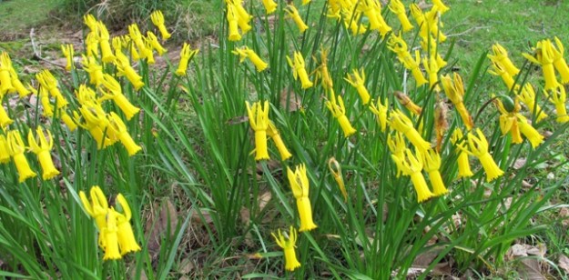 ???????????????????????????????