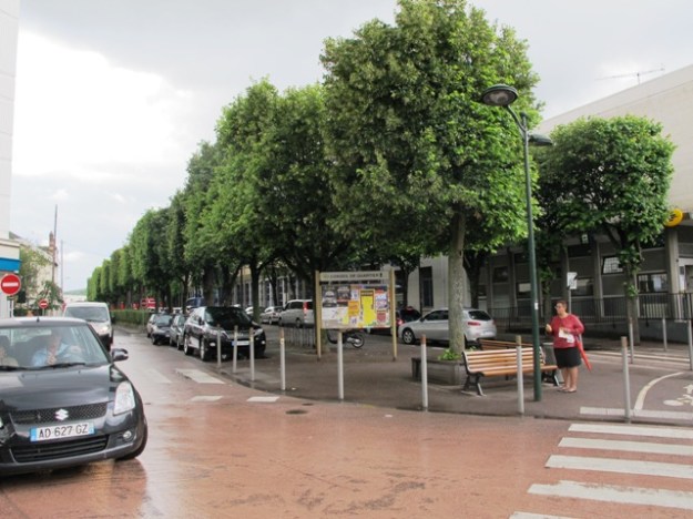 Clipped rather than pleached but certainly on stilts 