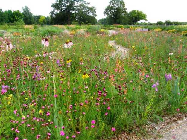 As we saw it in June 2009