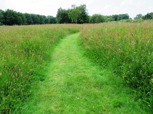 Pensthorpe in the north of Norfolk 