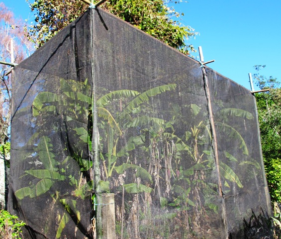 ???????????????????????????????