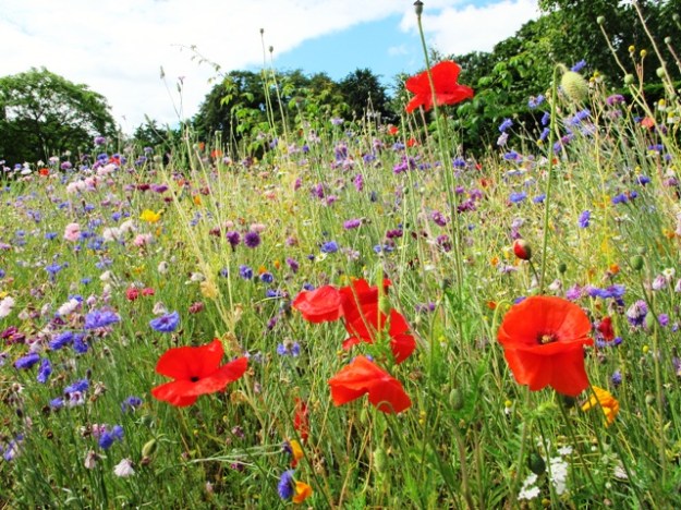 ???????????????????????????????