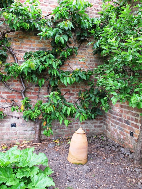 ???????????????????????????????