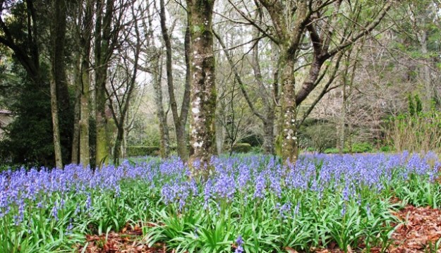 Mostly Te Popo 014 - Copy