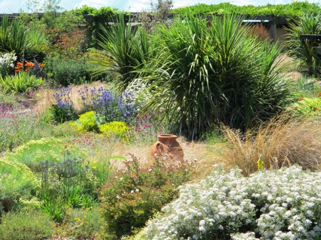 Wildside in North Devon was the one that excited us most 