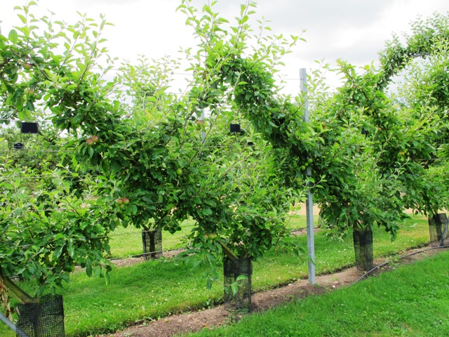 ???????????????????????????????