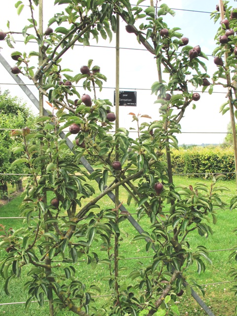 ???????????????????????????????