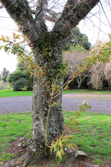 ???????????????????????????????