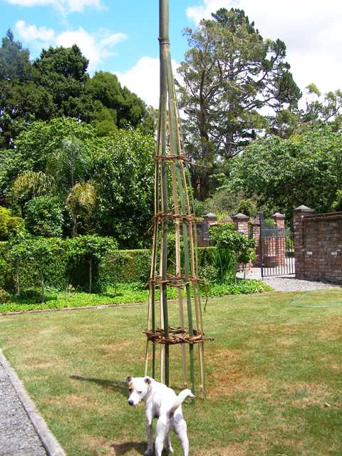 bamboo obelisks