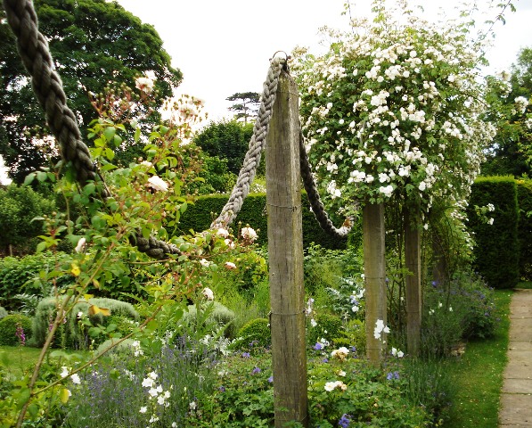 Tanalised timber posts and old maritime rope