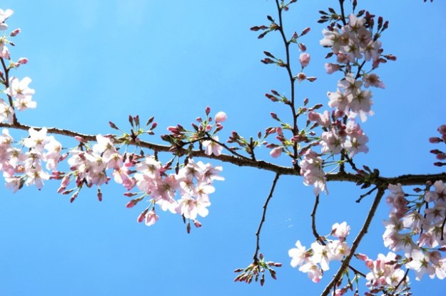 ???????????????????????????????