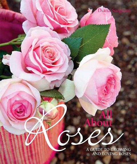 d68458bf-8598-4fc7-9e33-200637668d7c - Copy