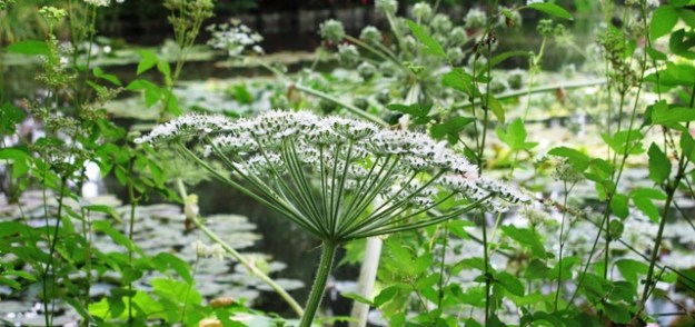 ???????????????????????????????