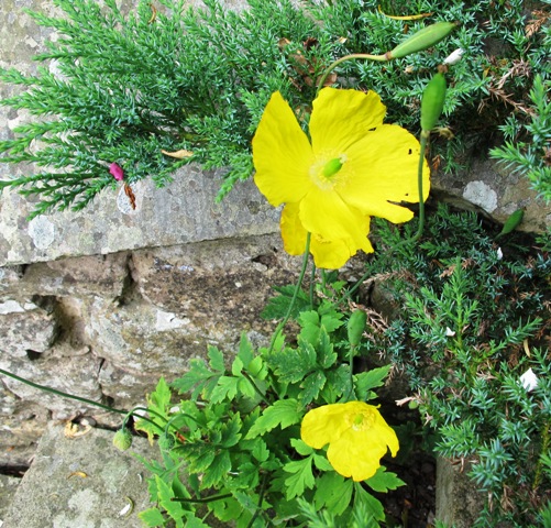It wasn’t all pastel and white at Gresgarth. 