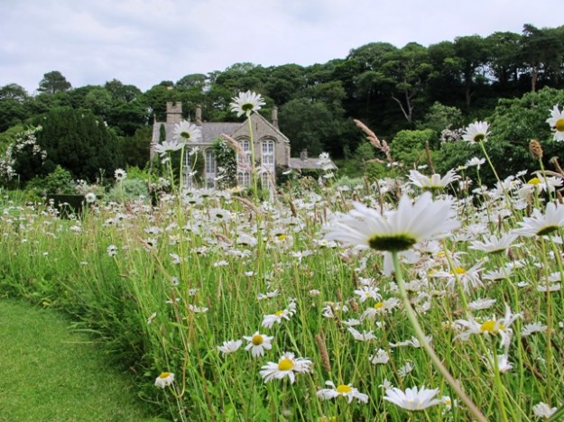 Good bones help but the contrast of plants and the simplicity of the daisies would work even without the hall in the background.