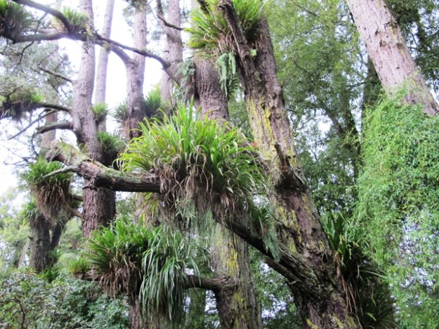 ???????????????????????????????