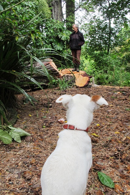 ???????????????????????????????