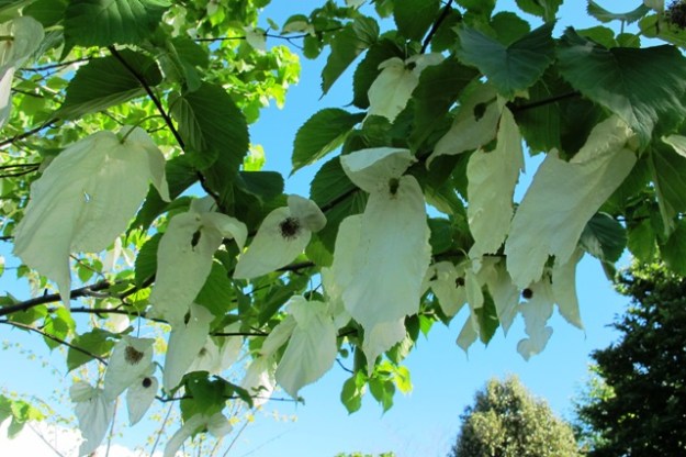 ???????????????????????????????