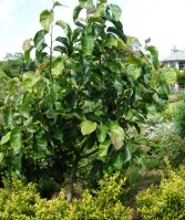 ???????????????????????????????