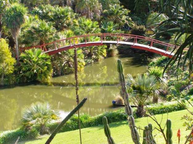 Paloma is unique amongst New Zealand gardens in design, plant content and genuine creativity, aided the boundless energy of its owners 