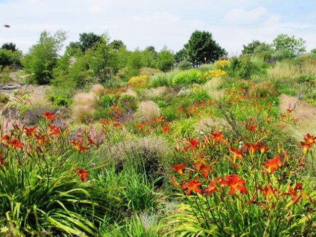 ???????????????????????????????