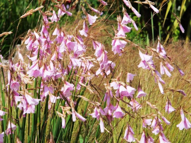 ???????????????????????????????