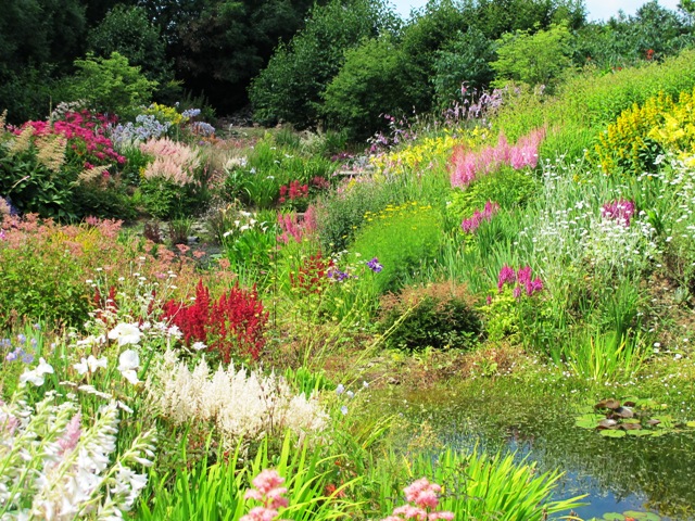 Wildside in North Devon was different to any garden that we have seen and we were quite simply entranced
