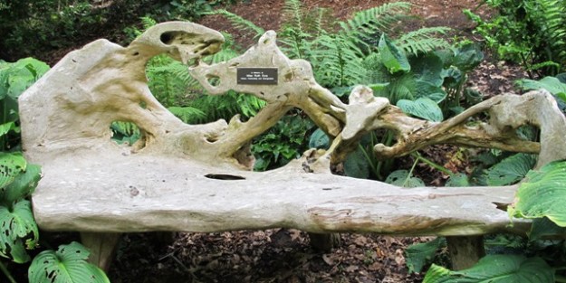 Not our seat as you can probably tell from the dedication plaque to Miss Ruth Ezra who was, apparently, ‘Unique, Outstanding and Unforgettable’, but a fine example of a bench seat constructed from a weathered tree trunk. 