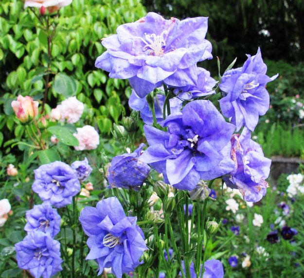 ???????????????????????????????