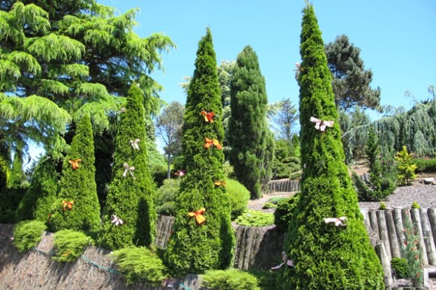 ???????????????????????????????