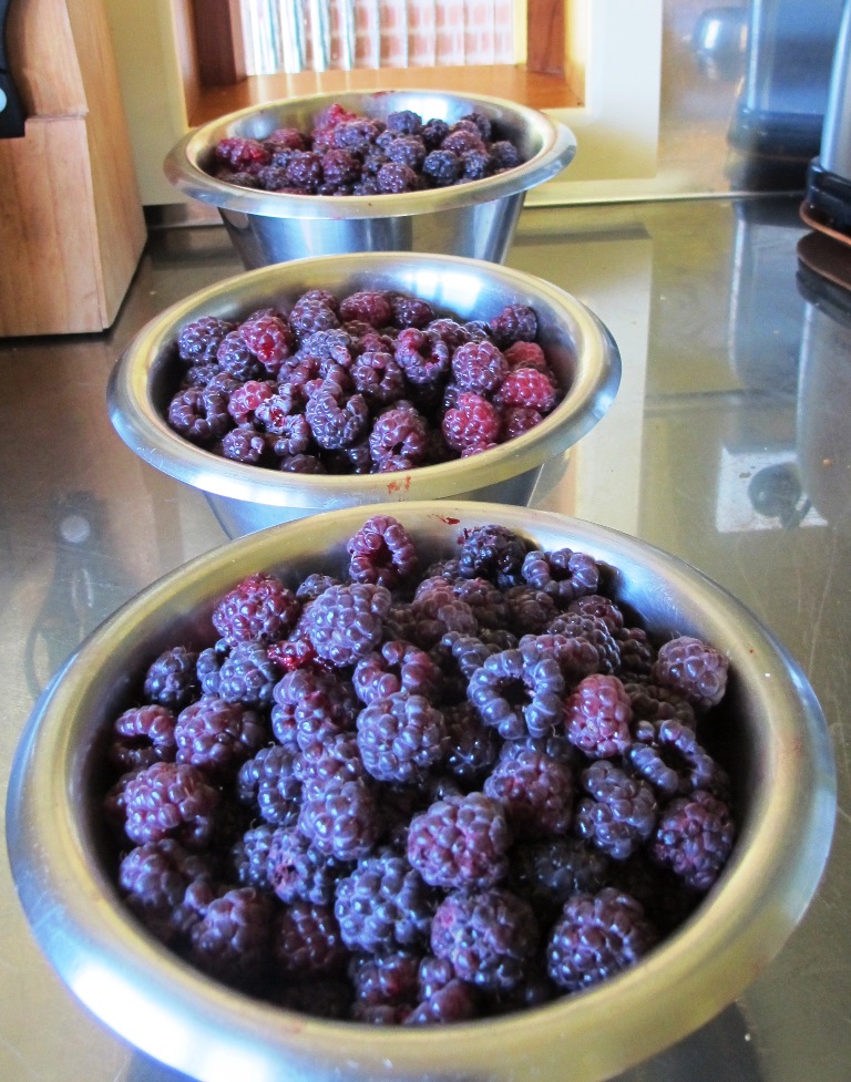 ???????????????????????????????