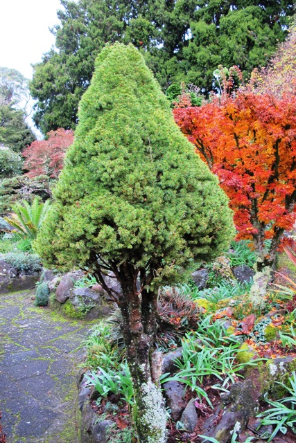 ???????????????????????????????